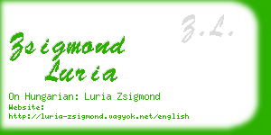 zsigmond luria business card